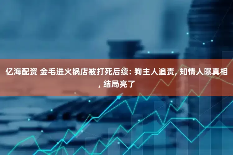 亿海配资 金毛进火锅店被打死后续: 狗主人追责, 知情人曝真相, 结局亮了